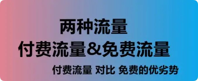 付费流量与免费流量全解析：赚钱项目操作策略与实战经验-五柳网
